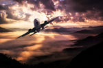Buy a brand new aircraft from the leaders in the market with your expert team